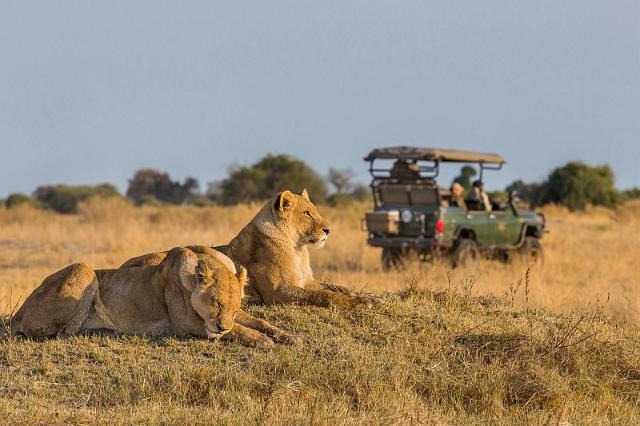 001 Botswana, Okavango Delta.jpg